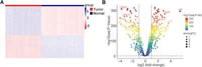 Multiple cell-death patterns predict the prognosis and drug sensitivity of melanoma patients